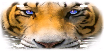 Tiger Face Auto Tag