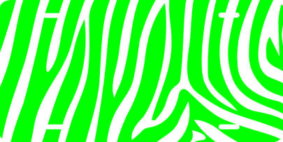 Zebra Print (green) Auto Tag