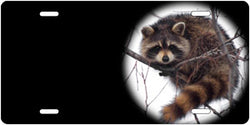 Racoon Auto Tag