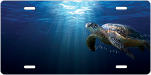Sea Turtle Auto Tag