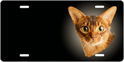Abyssinian Cat - Auto Tag
