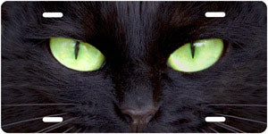 Cat Eyes - Auto Tag